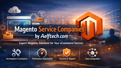 Magento Service Companies by Aelftech.com