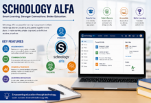 Schoology Alfa
